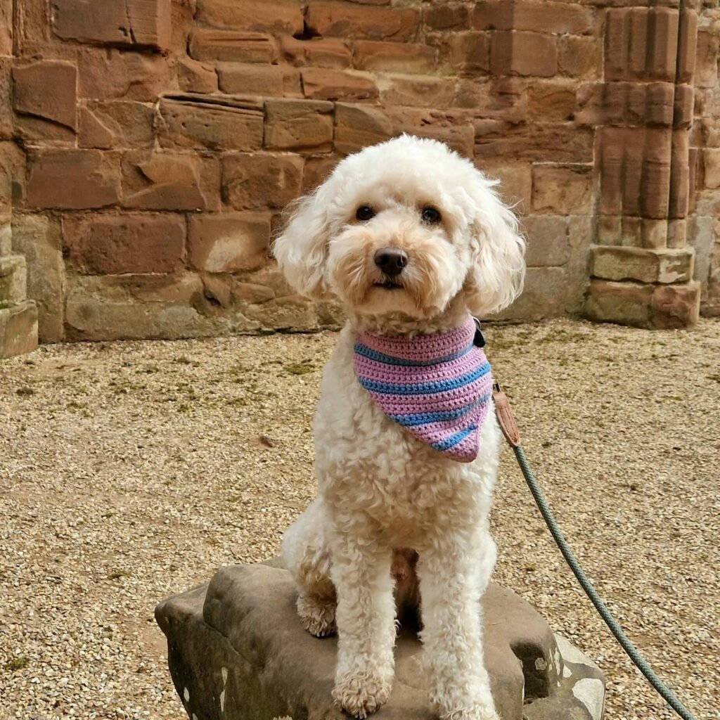 Dogs are very welcome at Kenilworth Castle