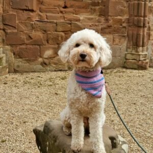 Dogs are very welcome at Kenilworth Castle