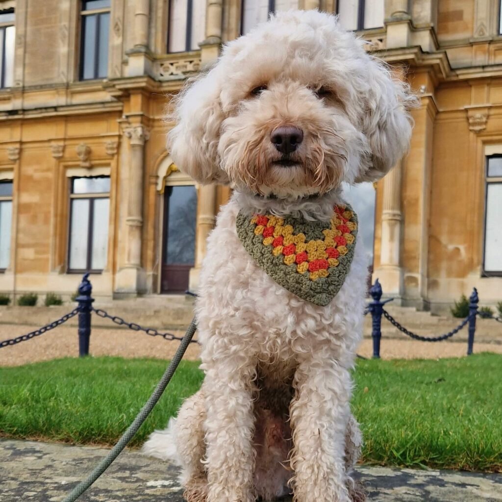 Dog-friendly grounds of Waddesdon Manor in Buckinghamshire