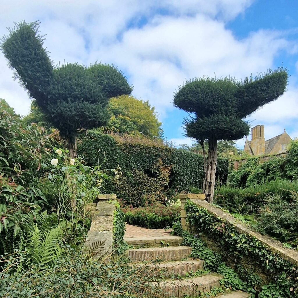 Exploring dog-friendly Hidcote Garden in Gloucestershire