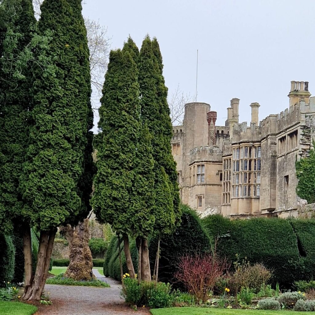Thornbury Castle, a dog-friendly historic hotel in Gloucestershire