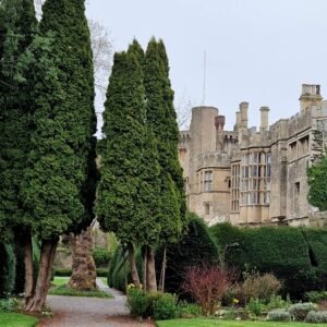 Thornbury Castle, a dog-friendly historic hotel in Gloucestershire